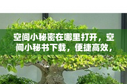 空间小秘密在哪里打开，空间小秘书下载，便捷高效，打造个性化数字生活
