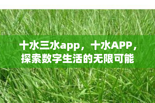 十水三水app,十水APP,探索数字生活的无限可能 十水三水app,十水APP,探索数字生活的无限可能