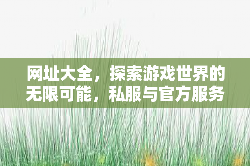 网址大全,探索游戏世界的无限可能,私服与官方服务器的独特魅力 网址大全,探索游戏世界的无限可能,私服与官方服务器的独特魅力