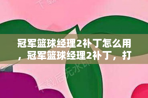 冠军篮球经理2补丁怎么用,冠军篮球经理2补丁,打造个性化游戏体验 冠军篮球经理2补丁怎么用,冠军篮球经理2补丁,打造个性化游戏体验