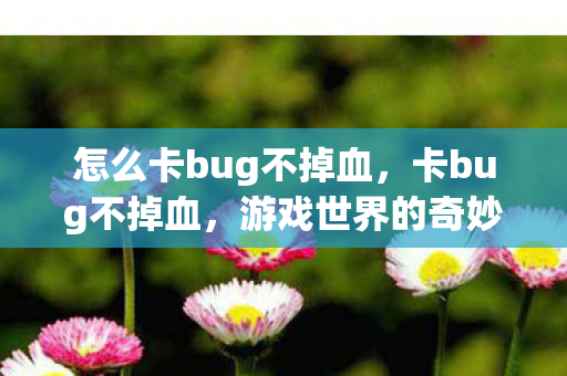 怎么卡bug不掉血,卡bug不掉血,游戏世界的奇妙探索与玩家智慧 怎么卡bug不掉血,卡bug不掉血,游戏世界的奇妙探索与玩家智慧