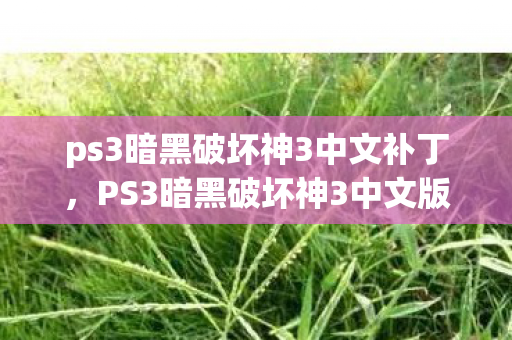 ps3暗黑破坏神3中文补丁,PS3暗黑破坏神3中文版的独特魅力与回忆 ps3暗黑破坏神3中文补丁,PS3暗黑破坏神3中文版的独特魅力与回忆