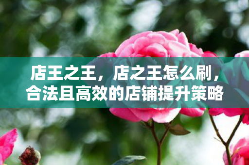 店王之王,店之王怎么刷,合法且高效的店铺提升策略 店王之王,店之王怎么刷,合法且高效的店铺提升策略