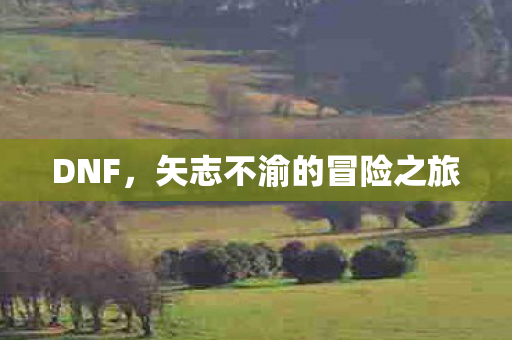 DNF,矢志不渝的冒险之旅 DNF,矢志不渝的冒险之旅