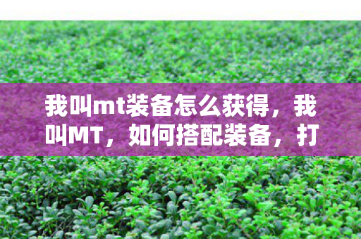 我叫mt装备怎么获得,我叫MT,如何搭配装备,打造最强战力 我叫mt装备怎么获得,我叫MT,如何搭配装备,打造最强战力