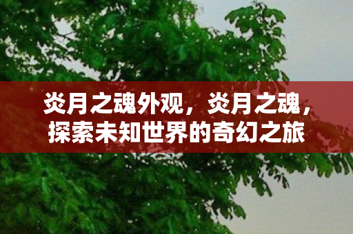 炎月之魂外观,炎月之魂,探索未知世界的奇幻之旅 炎月之魂外观,炎月之魂,探索未知世界的奇幻之旅