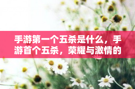 手游第一个五杀是什么,手游首个五杀,荣耀与激情的碰撞 手游第一个五杀是什么,手游首个五杀,荣耀与激情的碰撞