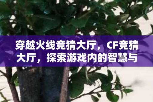 穿越火线竞猜大厅,CF竞猜大厅,探索游戏内的智慧与激情 穿越火线竞猜大厅,CF竞猜大厅,探索游戏内的智慧与激情