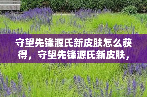 守望先锋源氏新皮肤怎么获得,守望先锋源氏新皮肤,影舞之龙,震撼登场! 守望先锋源氏新皮肤怎么获得,守望先锋源氏新皮肤,影舞之龙,震撼登场!
