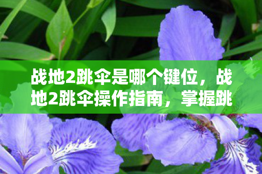 战地2跳伞是哪个键位,战地2跳伞操作指南,掌握跳伞技巧,畅享跳伞乐趣 战地2跳伞是哪个键位,战地2跳伞操作指南,掌握跳伞技巧,畅享跳伞乐趣