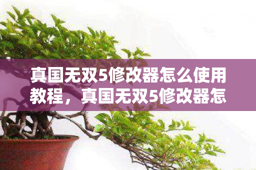 真国无双5修改器怎么使用教程,真国无双5修改器怎么使用 真国无双5修改器怎么使用教程,真国无双5修改器怎么使用