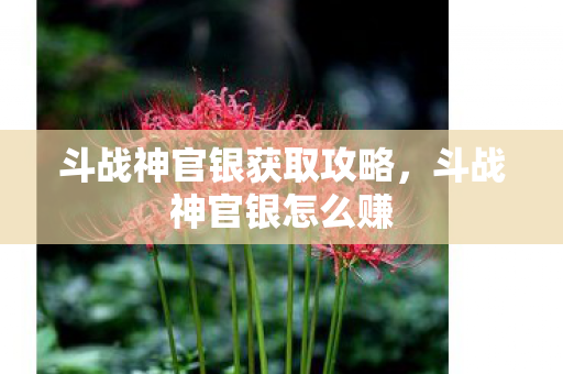 斗战神官银获取攻略,斗战神官银怎么赚 斗战神官银获取攻略,斗战神官银怎么赚