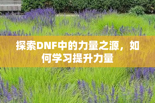 探索DNF中的力量之源,如何学习提升力量 探索DNF中的力量之源,如何学习提升力量