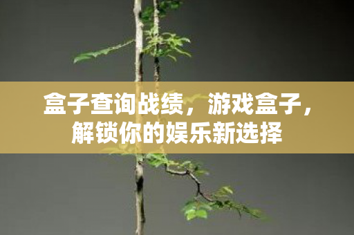 盒子查询战绩,游戏盒子,解锁你的娱乐新选择 盒子查询战绩,游戏盒子,解锁你的娱乐新选择