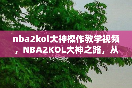 nba2kol大神操作教学视频,NBA2KOL大神之路,从新手到高手的蜕变之旅 nba2kol大神操作教学视频,NBA2KOL大神之路,从新手到高手的蜕变之旅