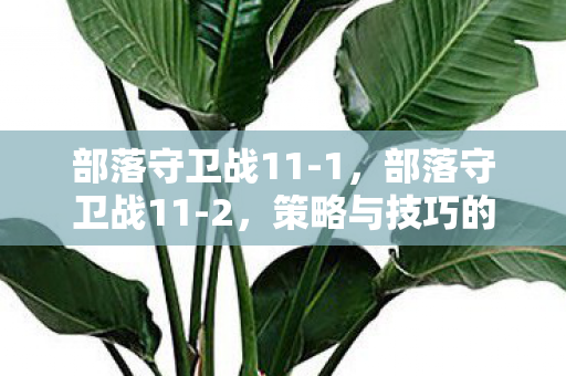 部落守卫战11-1,部落守卫战11-2,策略与技巧的深度剖析 部落守卫战11-1,部落守卫战11-2,策略与技巧的深度剖析