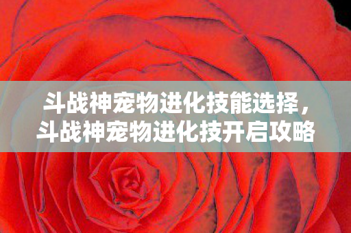 斗战神宠物进化技能选择,斗战神宠物进化技开启攻略 斗战神宠物进化技能选择,斗战神宠物进化技开启攻略