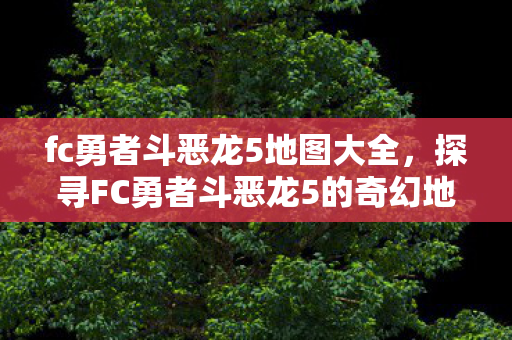 fc勇者斗恶龙5地图大全,探寻FC勇者斗恶龙5的奇幻地图 fc勇者斗恶龙5地图大全,探寻FC勇者斗恶龙5的奇幻地图