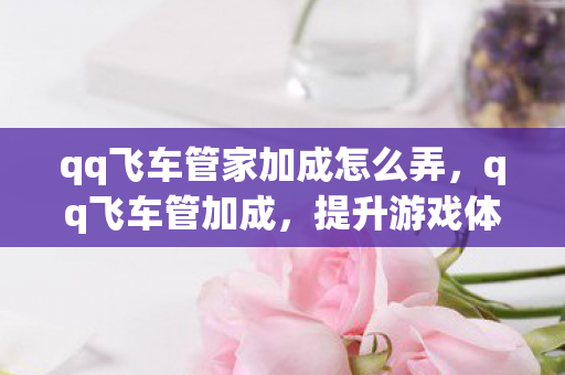 qq飞车管家加成怎么弄,qq飞车管加成,提升游戏体验的秘诀 qq飞车管家加成怎么弄,qq飞车管加成,提升游戏体验的秘诀