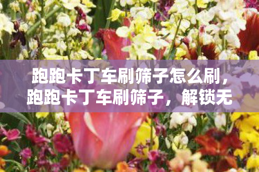 跑跑卡丁车刷筛子怎么刷，跑跑卡丁车刷筛子，解锁无限可能的竞速之旅
