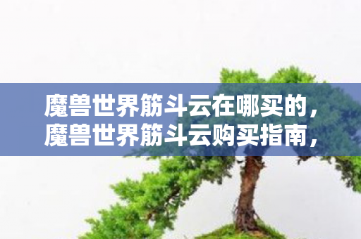 魔兽世界筋斗云在哪买的，魔兽世界筋斗云购买指南，官方渠道与获取方式