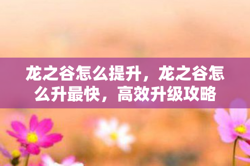 龙之谷怎么提升,龙之谷怎么升最快,高效升级攻略 龙之谷怎么提升,龙之谷怎么升最快,高效升级攻略