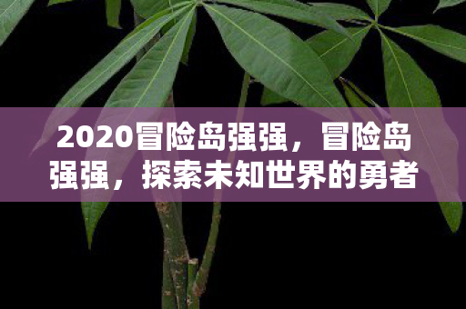 2020冒险岛强强,冒险岛强强,探索未知世界的勇者之旅 2020冒险岛强强,冒险岛强强,探索未知世界的勇者之旅