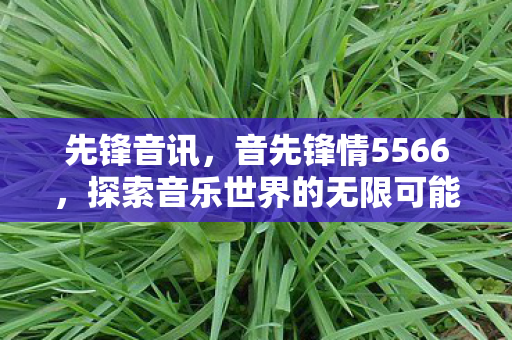 先锋音讯,音先锋情5566,探索音乐世界的无限可能 先锋音讯,音先锋情5566,探索音乐世界的无限可能