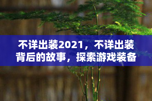 不详出装2021,不详出装背后的故事,探索游戏装备的神秘世界 不详出装2021,不详出装背后的故事,探索游戏装备的神秘世界