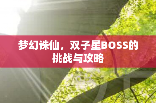 梦幻诛仙,双子星BOSS的挑战与攻略 梦幻诛仙,双子星BOSS的挑战与攻略