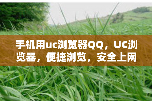 手机用uc浏览器QQ，UC浏览器，便捷浏览，安全上网的得力助手