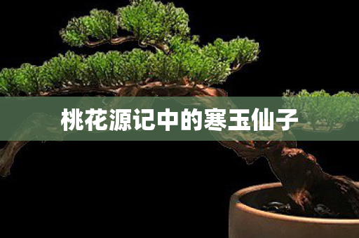 桃花源记中的寒玉仙子 桃花源记中的寒玉仙子