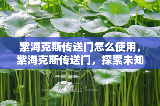 紫海克斯传送门怎么使用，紫海克斯传送门，探索未知世界的神秘通道
