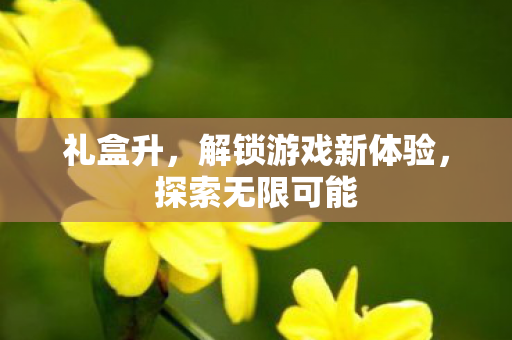 礼盒升,解锁游戏新体验,探索无限可能 礼盒升,解锁游戏新体验,探索无限可能