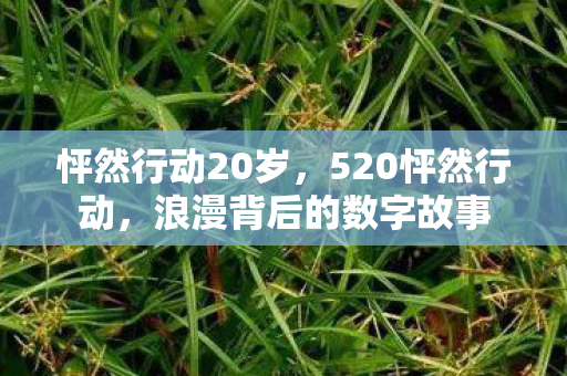 怦然行动20岁,520怦然行动,浪漫背后的数字故事 怦然行动20岁,520怦然行动,浪漫背后的数字故事