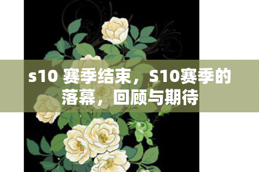 s10 赛季结束,S10赛季的落幕,回顾与期待 s10 赛季结束,S10赛季的落幕,回顾与期待