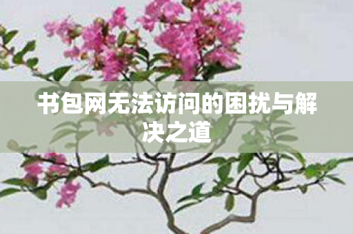 书包网无法访问的困扰与解决之道 书包网无法访问的困扰与解决之道
