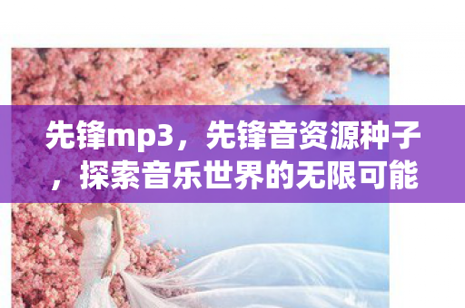 先锋mp3,先锋音资源种子,探索音乐世界的无限可能 先锋mp3,先锋音资源种子,探索音乐世界的无限可能