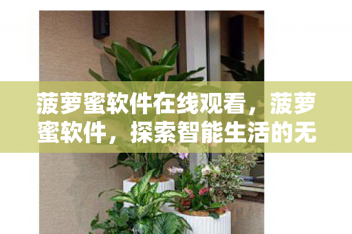 菠萝蜜软件在线观看,菠萝蜜软件,探索智能生活的无限可能 菠萝蜜软件在线观看,菠萝蜜软件,探索智能生活的无限可能