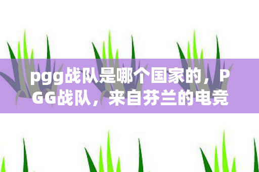 pgg战队是哪个国家的,PGG战队,来自芬兰的电竞新星 pgg战队是哪个国家的,PGG战队,来自芬兰的电竞新星
