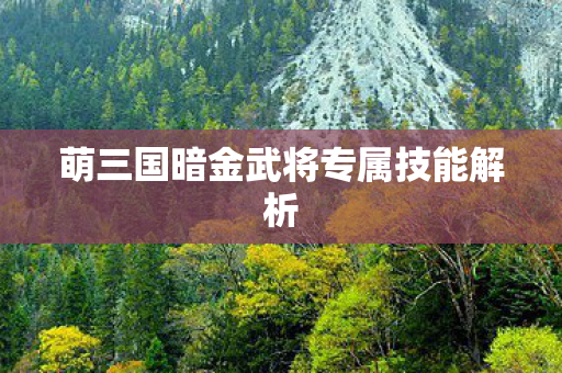 萌三国暗金武将专属技能解析 萌三国暗金武将专属技能解析