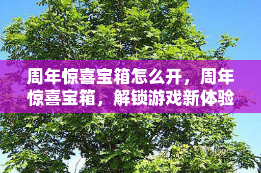周年惊喜宝箱怎么开,周年惊喜宝箱,解锁游戏新体验,重温经典回忆 周年惊喜宝箱怎么开,周年惊喜宝箱,解锁游戏新体验,重温经典回忆