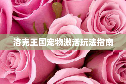 洛克王国宠物激活玩法指南 洛克王国宠物激活玩法指南