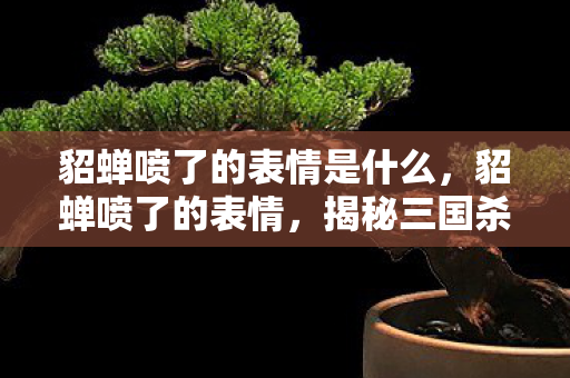 貂蝉喷了的表情是什么,貂蝉喷了的表情,揭秘三国杀名将背后的传奇故事 貂蝉喷了的表情是什么,貂蝉喷了的表情,揭秘三国杀名将背后的传奇故事