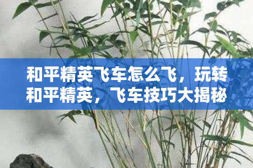 和平精英飞车怎么飞,玩转和平精英,飞车技巧大揭秘 和平精英飞车怎么飞,玩转和平精英,飞车技巧大揭秘