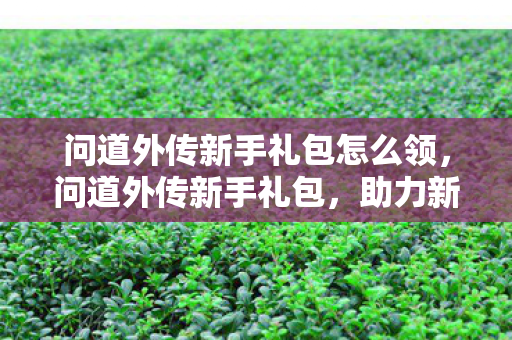 问道外传新手礼包怎么领,问道外传新手礼包,助力新手启程的必备神器 问道外传新手礼包怎么领,问道外传新手礼包,助力新手启程的必备神器