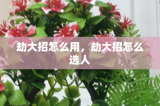 劫大招怎么用,劫大招怎么选人 劫大招怎么用,劫大招怎么选人
