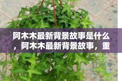 阿木木最新背景故事是什么,阿木木最新背景故事,重生与使命 阿木木最新背景故事是什么,阿木木最新背景故事,重生与使命