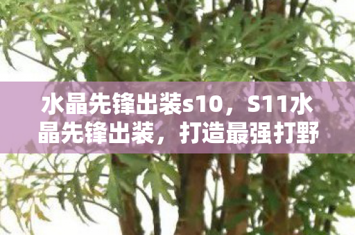 水晶先锋出装s10,S11水晶先锋出装,打造最强打野的必备装备 水晶先锋出装s10,S11水晶先锋出装,打造最强打野的必备装备