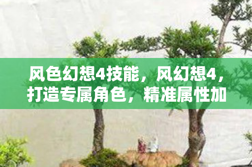 风色幻想4技能,风幻想4,打造专属角色,精准属性加点策略 风色幻想4技能,风幻想4,打造专属角色,精准属性加点策略